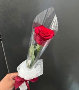 Single Rose palangkaraya